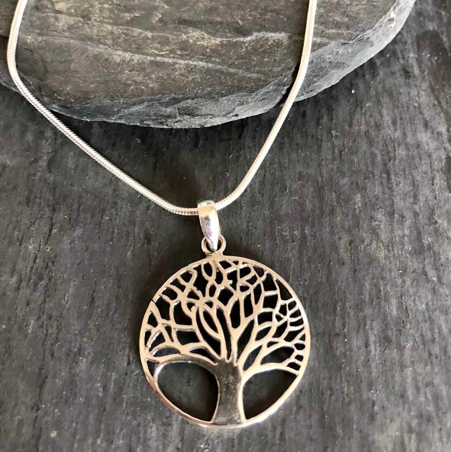 Silverhalsband Tree of Life