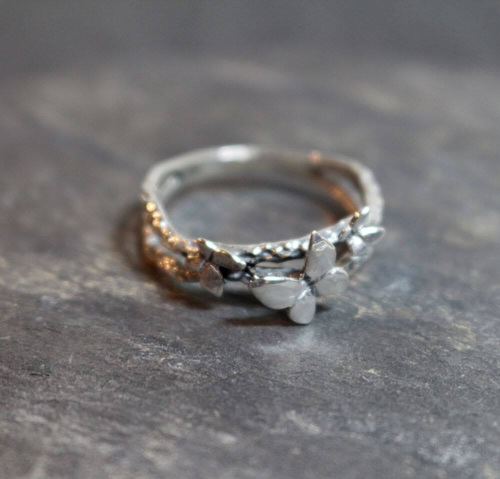 Silverring Butterfly