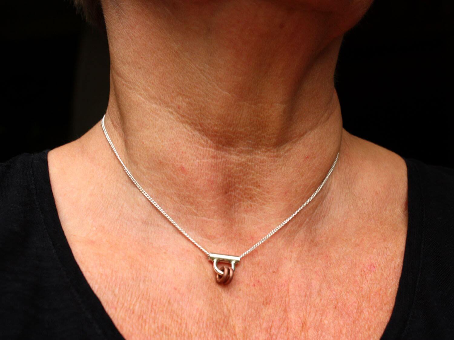 Silverhalsband Friends