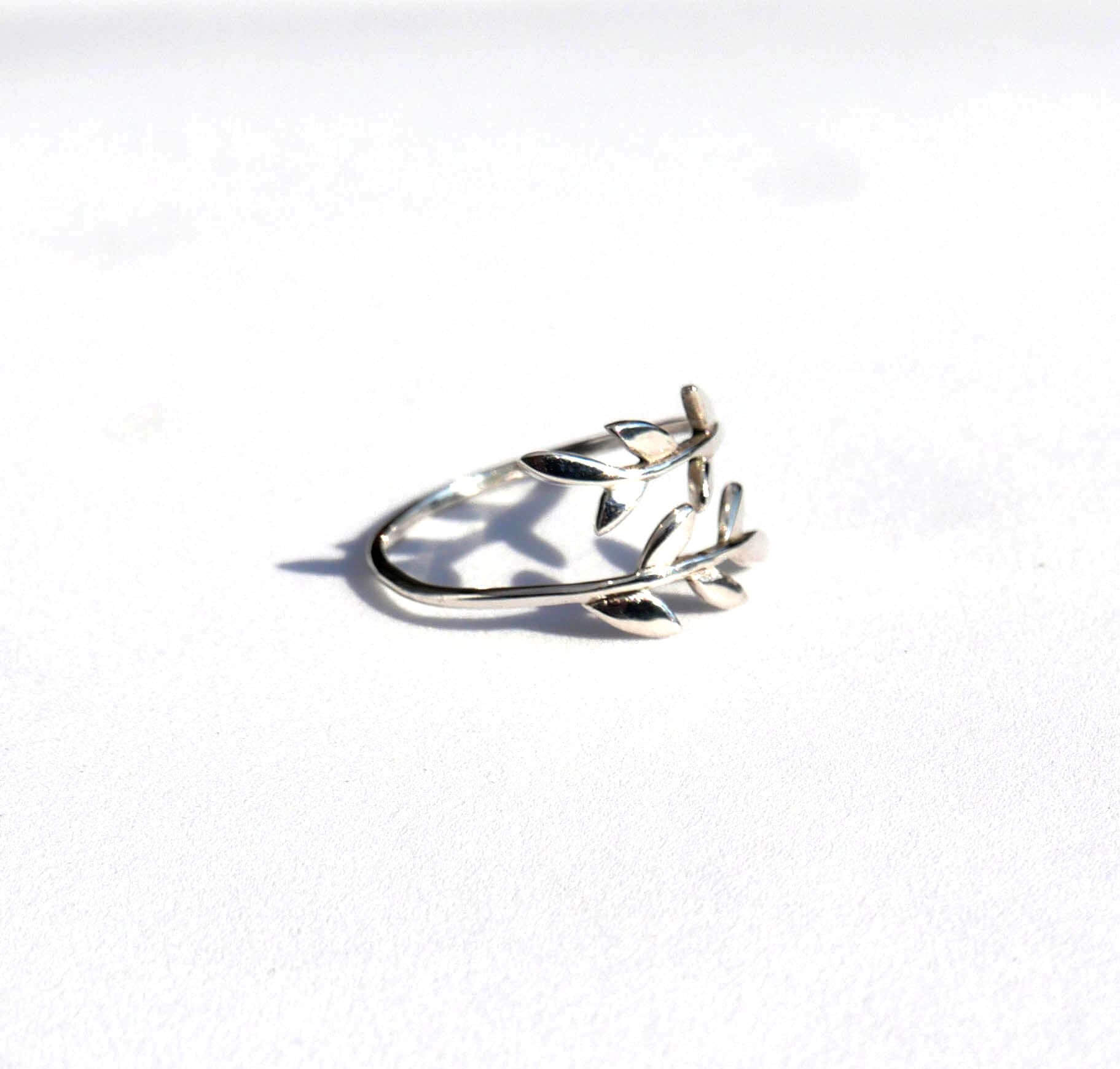 Silverring Twig 1